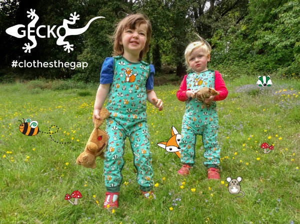 blog geko intro image