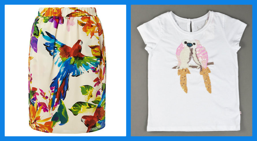 blog mumandmimi parrot