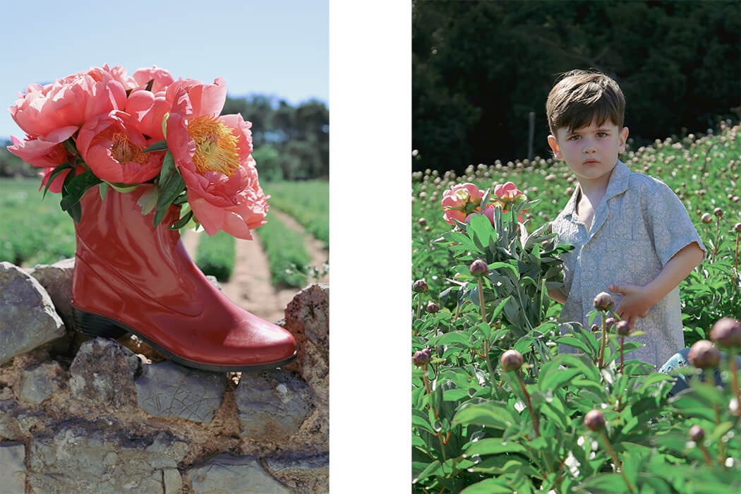 In Bloom: A Mother's Day Story