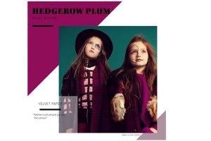 Colour Trends For AW18 #trends #kidswear